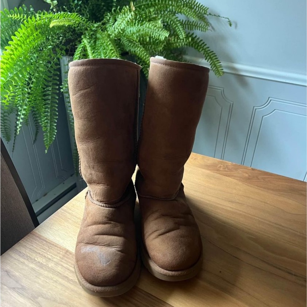 TALL UGGS